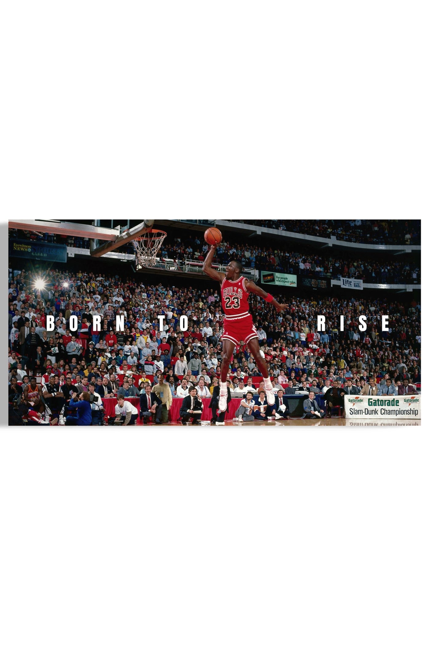 Michael Jordan: Born To Rise