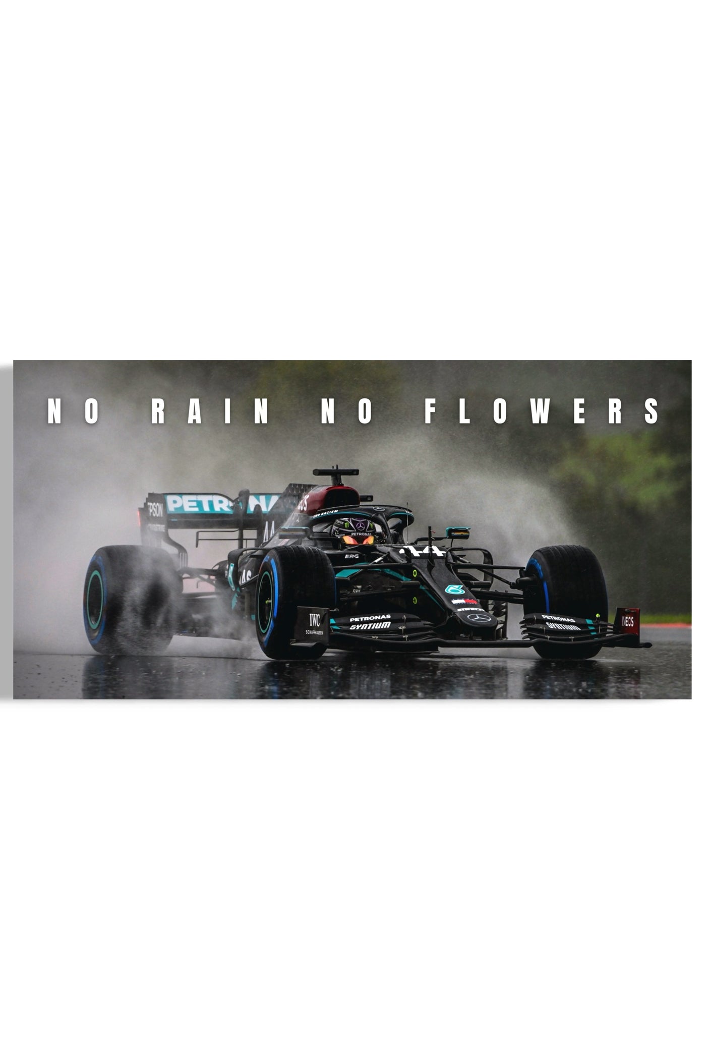 Lewis Hamilton: No Rain No Flowers