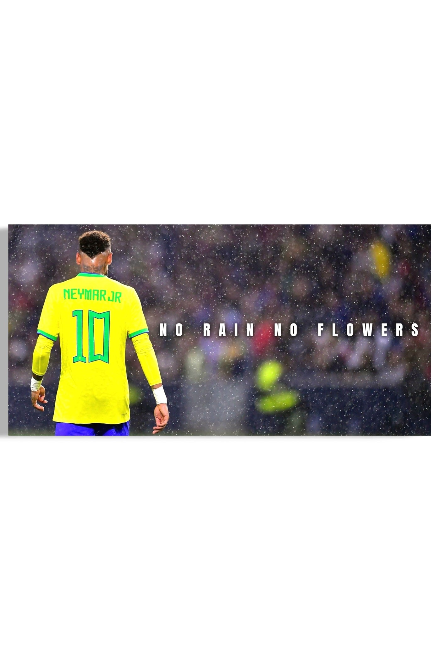 Neymar Jr.: No Rain No Flowers