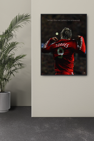 Fernando Torres: When the net called, he answered