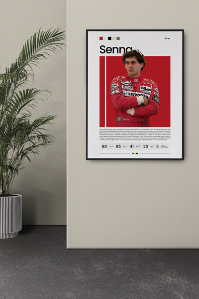 Ayrton Senna: Legacy I