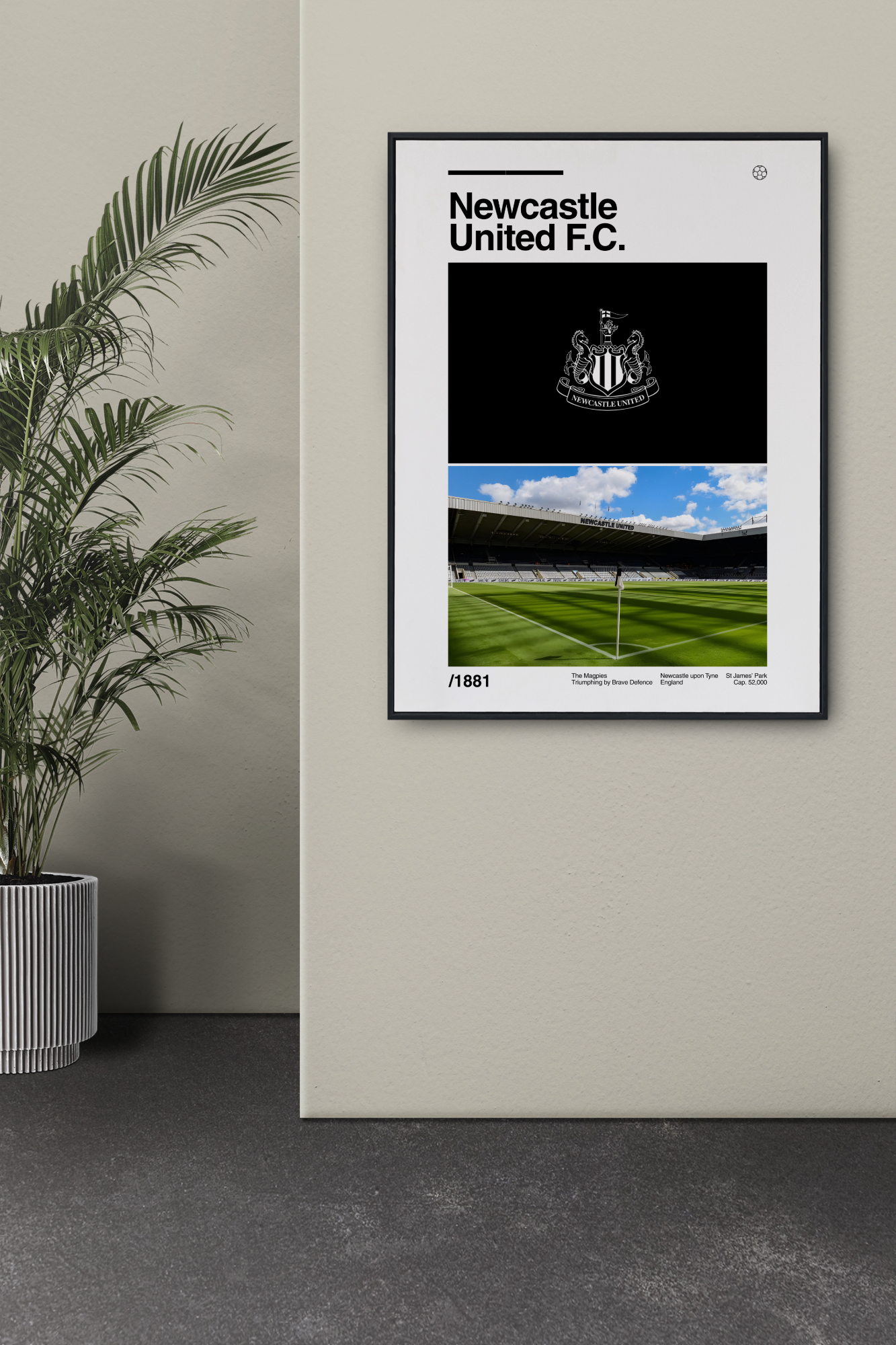Newcastle United: St James' Park