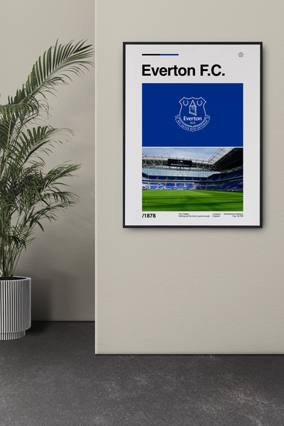 Everton: Hill Dickinson Stadium