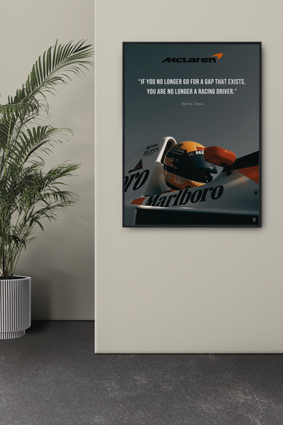 Ayrton Senna: Racing Driver