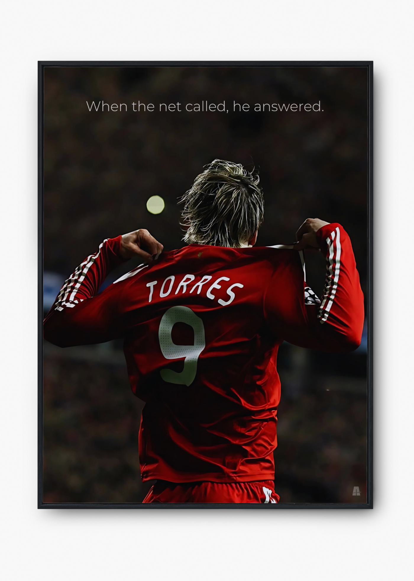 Fernando Torres: When the net called, he answered