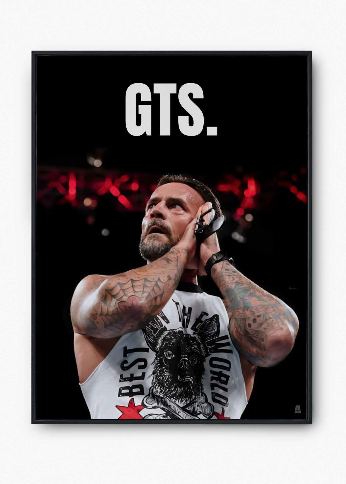 CM Punk: GTS