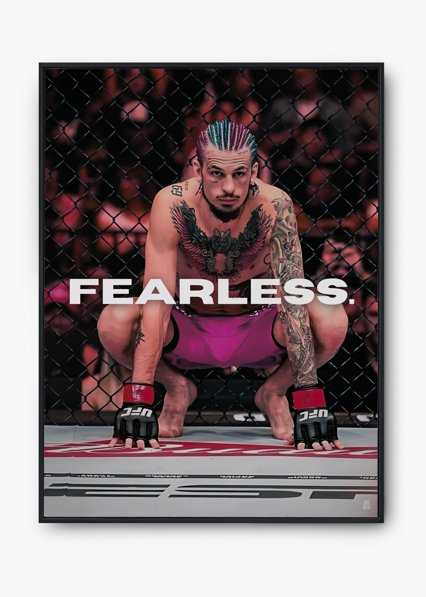 Sean O'Malley: Fearless