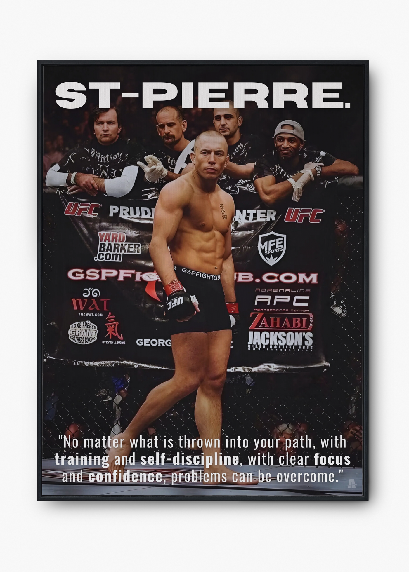 Georges St-Pierre: Discipline