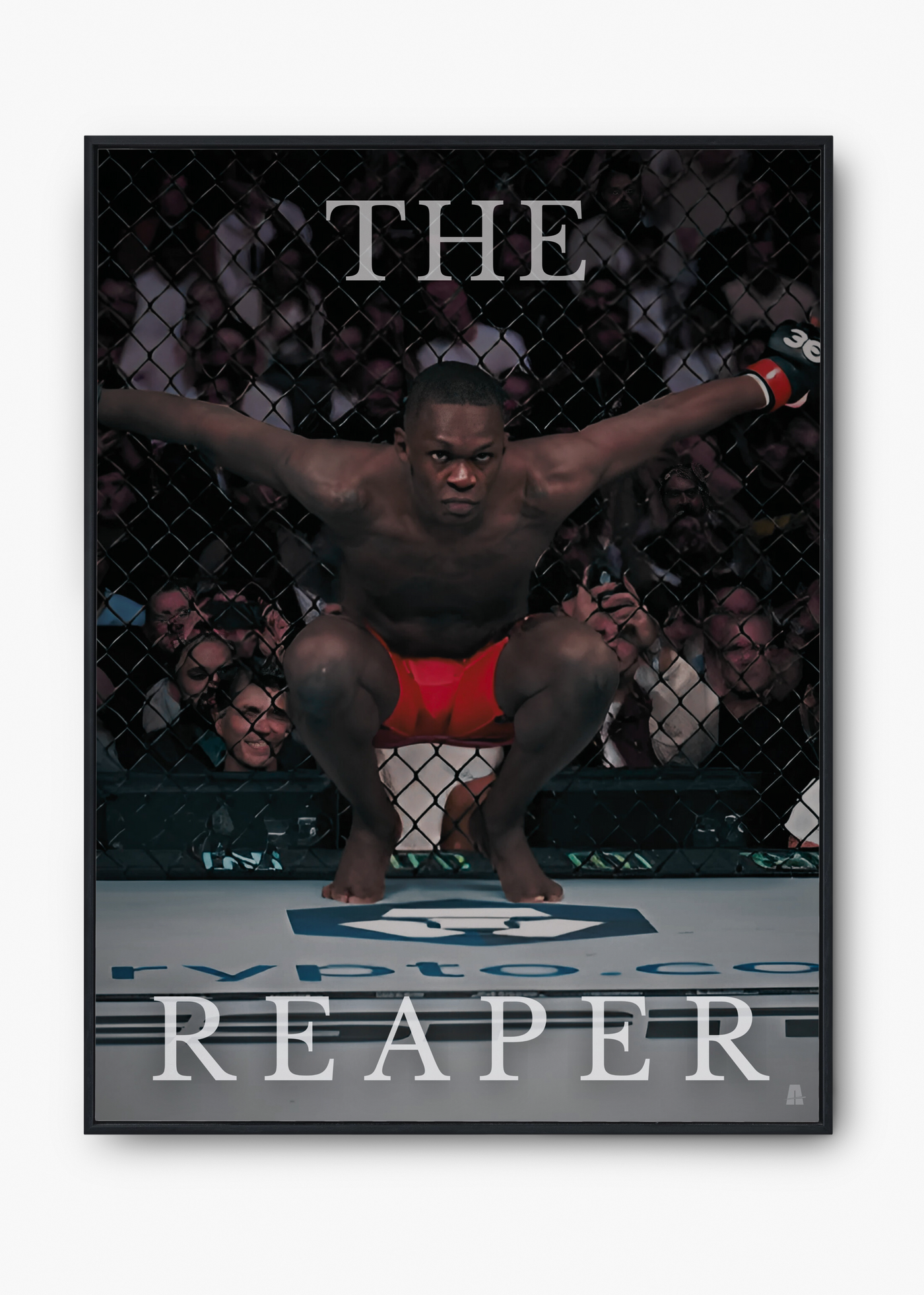 Israel Adesanya: The Reaper